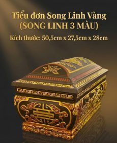 Tiểu đơn song linh 3 màu